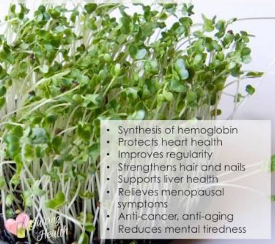 Ashraya Homeopathic Medical Center